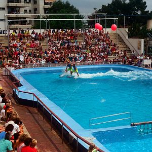 Marineland Mallorca 1989 - Dolphin Show