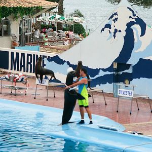 Marineland Mallorca 1989 - Sea Lion Show