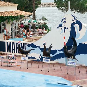 Marineland Mallorca 1989 - Sea Lion Show