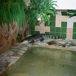 Marineland Mallorca 1989 - Indoor crocodile exhibit