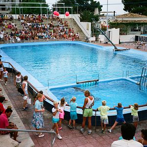 Marineland Mallorca 1989 - Tiny Dolphin pool