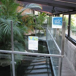 Vivarium de Lausanne 2006 - Indoor Crocodile exhibit