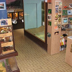 Vivarium de Lausanne 2006 - General view inside the Vivarium