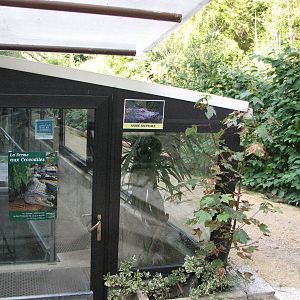 Vivarium de Lausanne 2006 - Outside Entrance to Crocodile Tropics