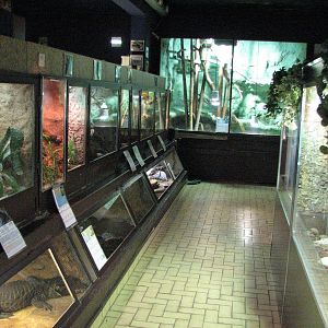 Vivarium de Lausanne 2006 - General view inside the Vivarium