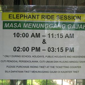 elephant riding sign
