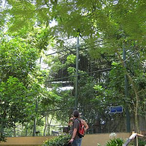 squirrel monkey cage