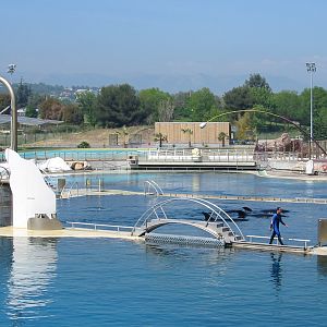 Marineland Antibes 2005 - Killer Whale Stadium holding pens