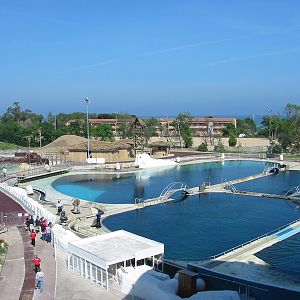 Marineland Antibes 2005 - Killer Whale Stadium holding pens