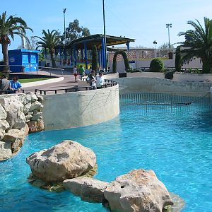 Marineland Antibes 2005 - South American Sea Lion pool
