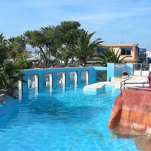 Marineland Antibes 2005 - Penguin exhibit