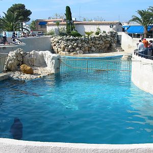 Marineland Antibes 2005 - Mixed pinniped pool
