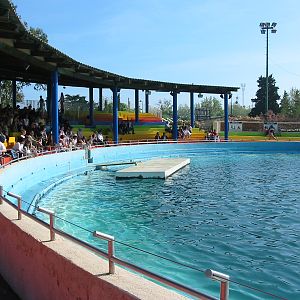 Marineland Antibes 2005 - Dolphin Stadium