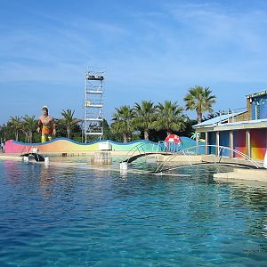 Marineland Antibes 2005 - Main Dolphin Stadium