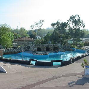Marineland Antibes 2005 - Mixed pinniped pool
