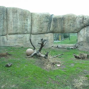 Racine Zoo 2003 - Siberian Tiger exhibit