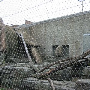 Racine Zoo 2003 - Snow Leopard exhibit