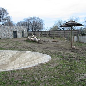 Racine Zoo 2003 - Second of two Rhinoceros exhibits