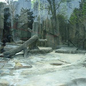 Potawatomi Zoo 2003 - Asiatic Black Bear exhibit