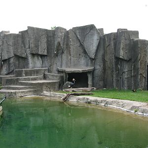 Potawatomi Zoo 2003 - Crowned Crane exhibit
