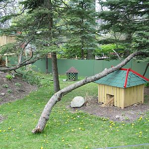 Potawatomi Zoo 2003 - Red Panda exhibit
