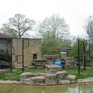 Potawatomi Zoo 2003 - Spider Monkey exhibit?