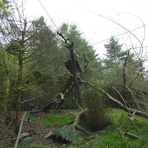 Black-Billed Magpie/Porcupine Exhibit
