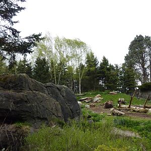 Grizzly Bear Exhibit