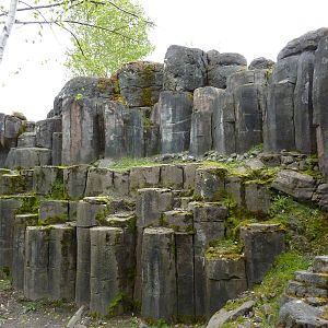 Rocky Mountain Goat/Arctic Fox Exhibit