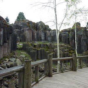 Rocky Mountain Goat/Arctic Fox Exhibit