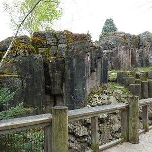 Rocky Mountain Goat/Arctic Fox Exhibit