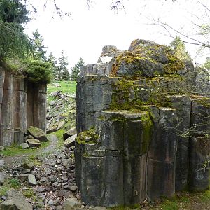 Rocky Mountain Goat/Arctic Fox Exhibit