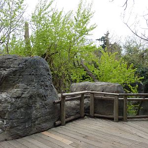 Orangutan Exhibit - Boardwalk Viewing Area