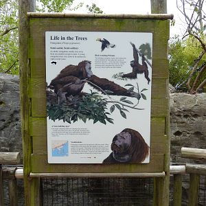 Orangutan Exhibit - Signage