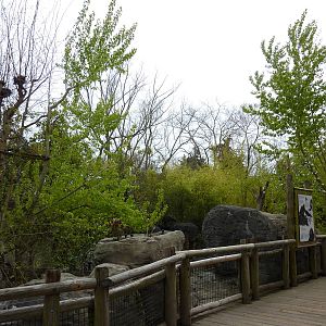Orangutan Exhibit - Boardwalk Viewing Area