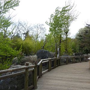 Orangutan Exhibit - Boardwalk Viewing Area