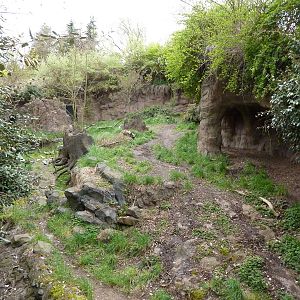 African Wild Dog Exhibit