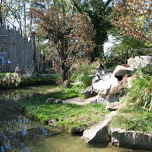 Knie Kinderzoo 2006 - Lemur island