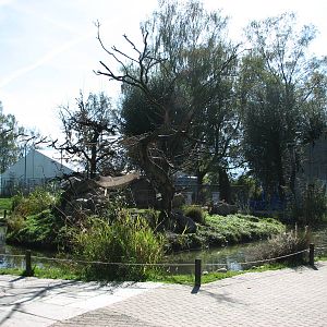 Knie Kinderzoo 2006 - Lemur island
