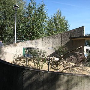 Knie Kinderzoo 2006 - Meerkat exhibit