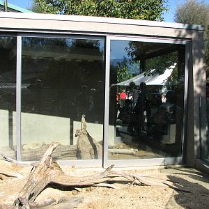 Knie Kinderzoo 2006 - Meerkat exhibit