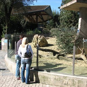 Knie Kinderzoo 2006 - Meerkat exhibit