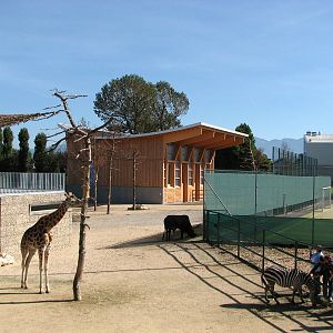 Knie Kinderzoo 2006 - Mixed ungulate enclosure