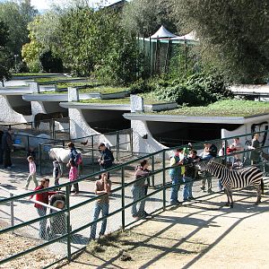 Knie Kinderzoo 2006 - Zebra and pony pens