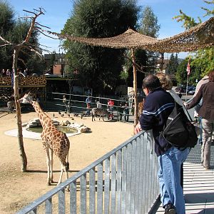 Knie Kinderzoo 2006 - View over the ungulate enclosure