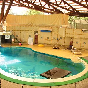 Knie Kinderzoo 2006 - Front view of the Sea Lion Show pool