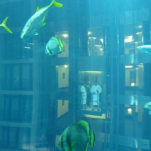 Going swimming in the Aqua Dome