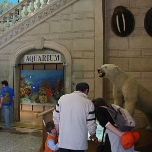 Musee Oceanographique 2005 - Inside the aquarium