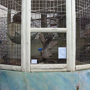 Jardin Animalier 2005 - Ringtailed Lemur cage