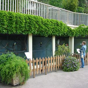 Jardin Animalier 2005 - Toucan cages